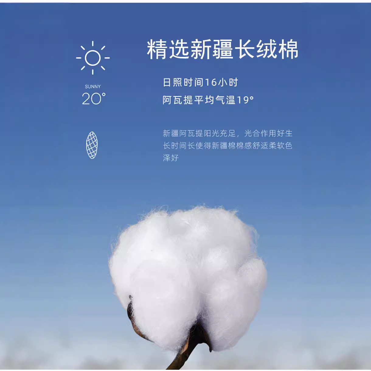 秋款100%纯棉男士时尚潮流长袖衬衫休闲百搭商务衬衣男装上衣外套